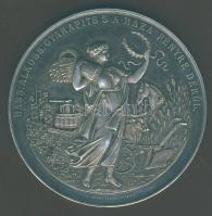 1901. "Sopronvármegyei Gazdasági Egyesület 1876-1901-Soproni Róm. Kath. Convent" Ag emlékérem. Szign:Ádler Jakab. Az egyetlen idáig ismert érem a művésztől! RRR!!! Eredeti bársony díszdobozban, felirattal! T:1 min. ph.