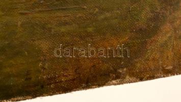 Edvi Illés Aladár (1870-1958): Dombos vidék kunyhóval. Olaj, vászon-falemez, jelzett, tisztitásra sz...