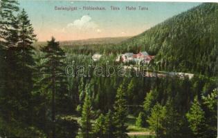 Tátra, Magas Tátra, Vysoké Tatry; Barlangliget, Höhlenhain Tatranská Kotlina, látkép / general view (EK)