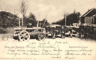 Nevesinje, Bogomillenochsenwagen, Verlag Martin Weiss / ox cart, (EK)