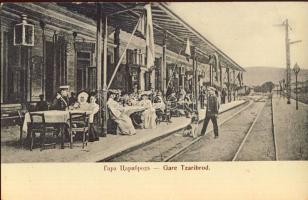 Tzaribrod Railway-station