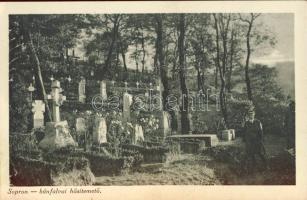 Sopron War-hero cemetary (EB)