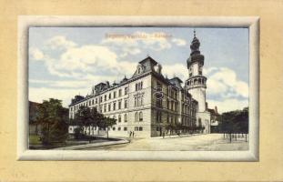 Sopron Town-hall (Rb)
