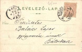 1899 Brassó, Kronstadt, Brasov; Schuller Villa / villa, panoramacard (b)