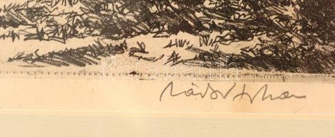 Zádor István (1882-1963): Szamos menti fák. Rézkarc, papír, jelzett, üvegezett kereteben, apró foltt...