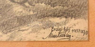Olvashatatlan jelzéssel: Erdei táj 1957. Ceruza, papír, üvegezett keretben, 17×23 cm