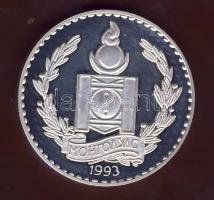 Mongólia 1993. 250T Ag "Veszélyeztetett állatvilág-antilop" T:PP