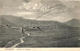 Zakopane, Dolina za bramka / valley (kis szakadás / small tear)