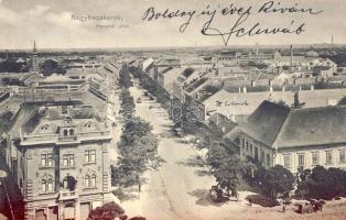 Nagybecskerek with synagogue