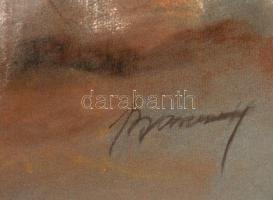 Barcsay jelzéssel: Női akt háttal. Pasztell, papír, üvegezett keretben, 60×45 cm