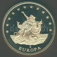 1998. 10Euro "Europa" multicolor színes/aranyozott Br privát emlékpénz T:PP