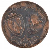 1988. "Pápai Gimnázium / Az Alma Mater 350 éves jubileumára" Br plakett (101mm) T:2