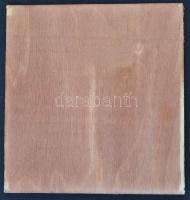 Beck Ötvös Fülöp (1873-1945) 1920. "Az Országos Rákosi Jenő-ünnep emlékére" Br emlékérem f...