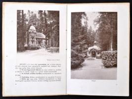 1911 Marilla Sanatorium, Ideg- és nem tuberkulotikus tüdőbetegek részére, fényképes nyomtatvány, pp....
