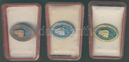 MÁV-Törzsgárda jelvény 10-20-30év (3klf), eredeti tokban T:1