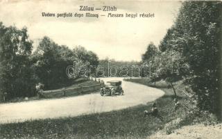 Zilah, Zalau; Meszes hegyi részlet / road, automobile