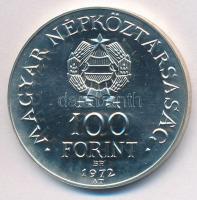 1972. 100Ft Ag "Budapest" T:BU felületi karc
EM40