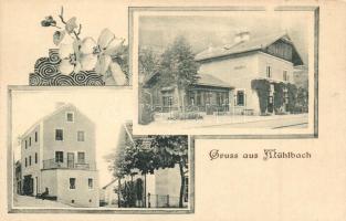 Szászsebes, Mühlbach; vasútállomás / railway station, floral