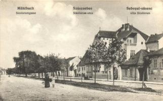 Szászsebes, Mühlbach; Sikolorum utca / street