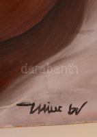 Hincz jelzéssel: Golyók. Olaj, farost, 80×92 cm