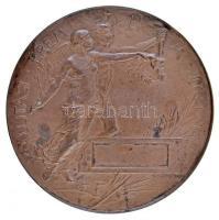 Beck Ötvös Fülöp (1873-1945) 1896. "Milleniumi kiállítási emlékérem" Br emlékérem. "1...