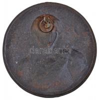 DN Nőalakot (Szűz Mária?) ábrázoló egyoldalas Fe emlékérem, hátlapon számozással és akasztóval T:2-
...
