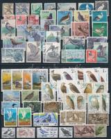 Madár motívum 79 db bélyeg 2 stecklapon, Birds 79 stamps