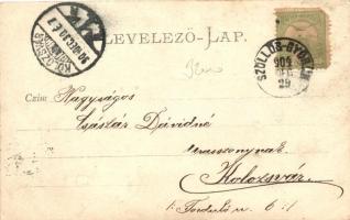 1904 Szőlősgyörök, Utcarészlet, római katolikus templom, photo (EK)