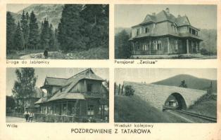 Tatariv, Tatarow; Droga do Jablonicy, Pensjonat Zacisze, Wille, Wadukt kolejowy / Road to Jablonice, Pension Zacisze, Villas, railway viaduct (EK)