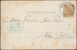 1896 Fiume, Hafen, Tersatto, floral, litho  (fl)