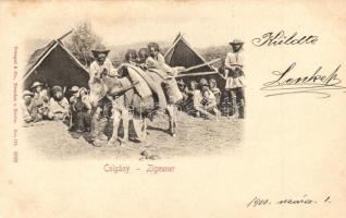 Cigány, Zigeuner / Gypsy camp, folklore, Emb. Reliefkarte D.R.G.M. No. 103 130.