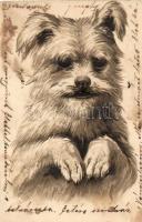 35 db RÉGI motívumlap, litho és dombornyomott lapokkal; vegyes minőség; kutya, macska, állat, humor ...