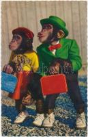 51 db MODERN motívumlap; állatok / 51 modern  motive cards; animals