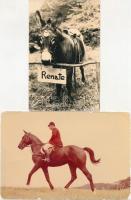 10 db MODERN motívumlap; lovak / 10 modern  motive cards; horses