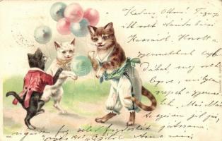 Cats, art postcard, Cattarino Sándor No. 182. litho (tűnyomok / pinholes)
