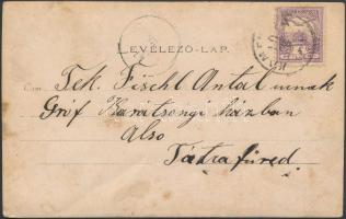 Újvidék, Kamanc, Kamenica, Sremska Kamenica; Marczibányi-kastély / castle, photo (fa)