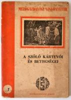 Hullay Lajos-Dr. Barra István: A szőlő kártevői és betegségei. Mezőgazdasági Kiskönyvtár 7. Budapest, 1951, Mezőgazdasági Kiadó, 60 p. Kiadói tűzött papírkötés. Foltos!