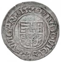 1520K-A Denár Ag "II. Lajos" (0,58g) T:2
Huszár: 841., Unger I.: 673.n