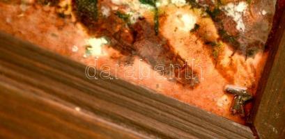 Tóbiás Klára (1945- ): Virág csendélet, tűzzománc, fém, jelzett, fa keretben, 17,5×11 cm