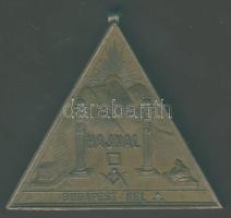 1902. Szabadkőműves háromszögalakú Br érem "Budapest-Hajnal..." T:2