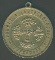 Cca 1900. Szabadkőműves Br érem "Soproni Páholy" T:2