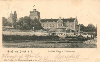 Lajtabruck, Bruck and der Leitha; Prugg kastély / Schloss Prugg und Palmenhaus / castle, palm house