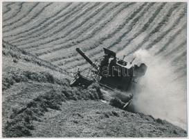 cca 1968 Gebhardt György (1910-1993):  Betakarítás, jelzés nélküli vintage fotóművészeti alkotás, a szerző hagyatékából, 17,5x24 cm
