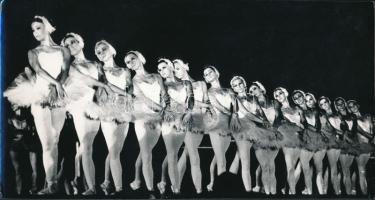 cca 1974 Hattyúk a színpadon, vintage fotóművészeti alkotás, 12x23 cm