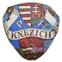 DN "Knezich PF" zománcozott fém sapkajelvény, hátoldalán nagy mennyiségű forrasztóón (36x36mm) T:3- sérült zománc, görbült sarkak