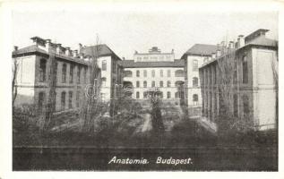 Budapest IX. Anatómiai Intézet (kis szakadás / small tear)