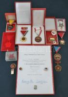 15db-os vegyes szocialista jelvény, kitüntetés tétel több tokkal, közte 1970. "Felszabadulási Jubileumi Emlékérem" aranyozott, zománcozott Br kitüntetés mellszalagon, szalagsávval, miniatűrrel, tokban, adományozói okirattal, "A könnyűipar kiváló dolgozója" zománcozott Br jelvény T:2,2-