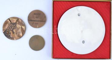 4db szocialista emlékérem, közte 1969. "Fegyverbe! Fegyverbe! 1919-1969." hollóházi porcel...