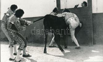 cca 1960 A bika időt kért, 2 db vintage fotó, 15x24 cm