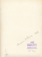 1934 Makkos Hetyey Pál (Budatétény) aláírt, pecséttel jelzett vintage fotóművészeti alkotása, 23x17 ...